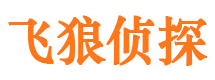 子洲外遇出轨调查取证